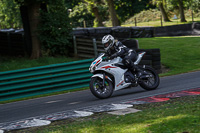 cadwell-no-limits-trackday;cadwell-park;cadwell-park-photographs;cadwell-trackday-photographs;enduro-digital-images;event-digital-images;eventdigitalimages;no-limits-trackdays;peter-wileman-photography;racing-digital-images;trackday-digital-images;trackday-photos